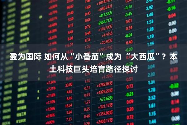 盈为国际 如何从“小番茄”成为 “大西瓜”？本土科技巨头培育路径探讨